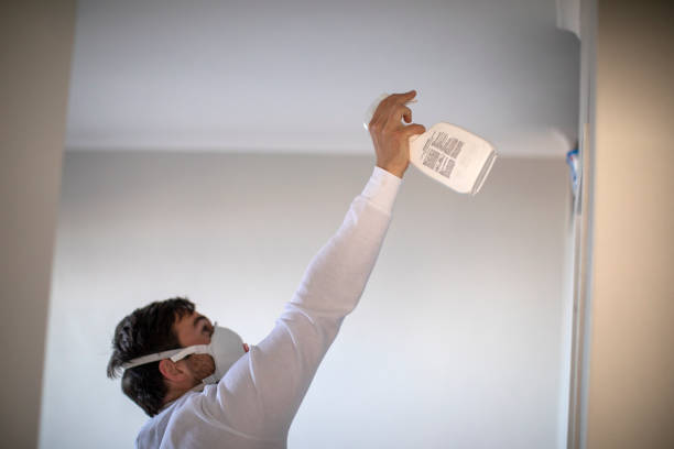 Best Bathroom Mold Remediation in Osceola, IA